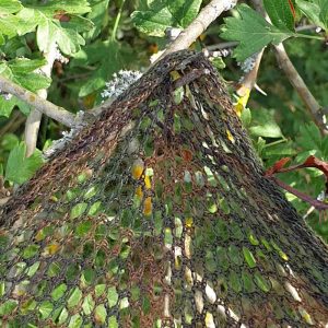 maille-écharpe-résistante-épine-nature-et-camouflage-affût-improvisé